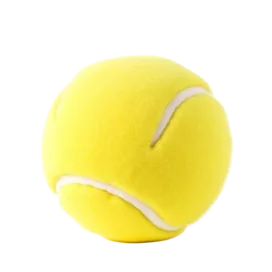 Tenis