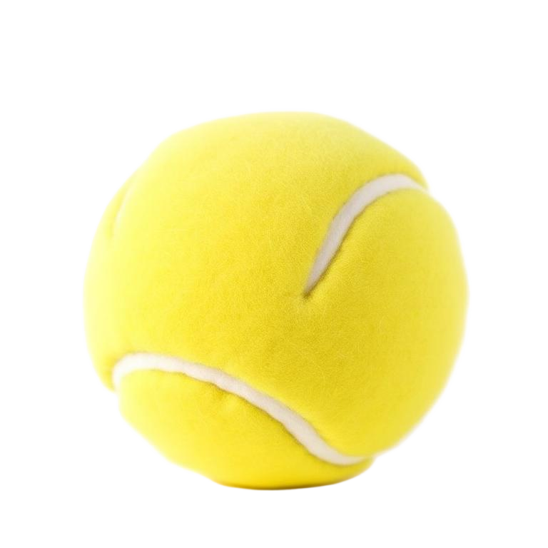 Tenis